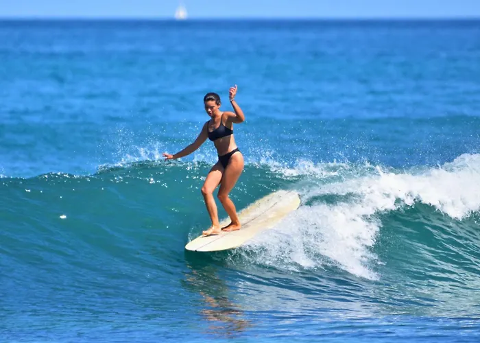 Surf