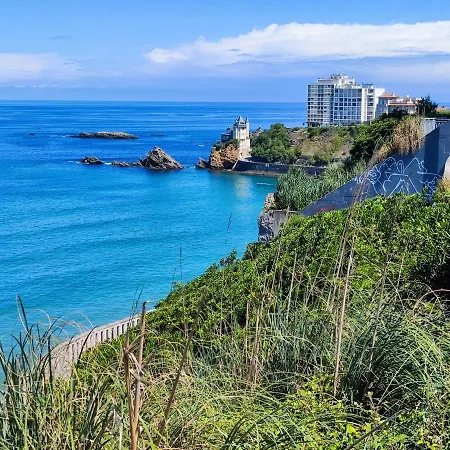 Surf * Biarritz
