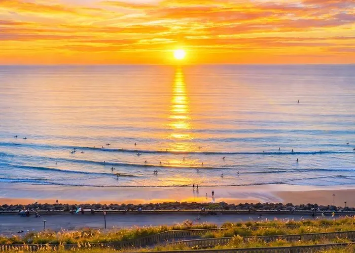 Surf Отель типа 